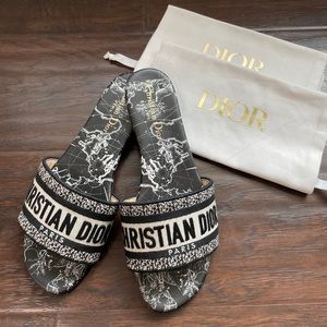 Dior Dway Slide Around the World Sandals